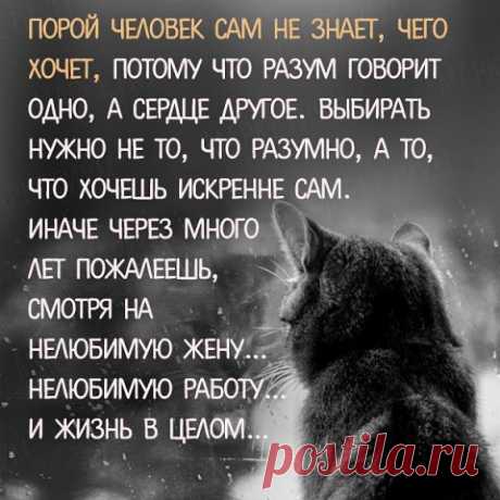 (80) Одноклассники