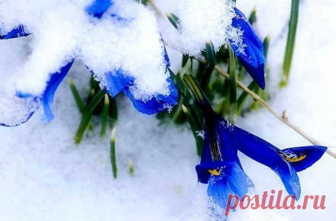 b-127.jpg (680×447)