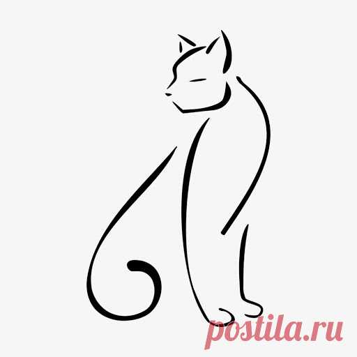 Cats - SSvetLanaV - Picasa Web Albums