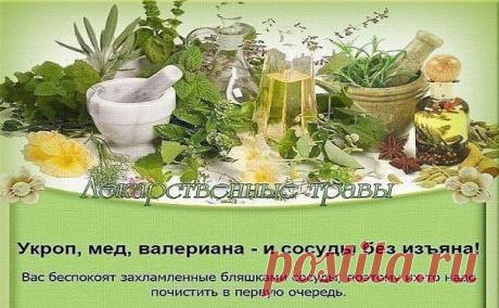 ПЕЧЕНЬ ОЧИСТИТСЯ МГНОВЕННО!

Укроп, мед, валериана - и сосуды без изъяна!

Вас беспокоят захламленные бляшками сосуды, поэтому их-то надо почистить в первую очередь.

Для этого приготовить вот такой настой: 1 стакан укропного семени, 2 ст. ложки молотого корня валерианы смешать, залить 2 литрами кипятка, когда настой остынет до 40 град., добавить 2 ст. ложки меда и настаивать сутки, тепло укутав. Принимать по 1 ст. ложке за полчаса до еды.

Тибетский рецепт молодости Совсе...