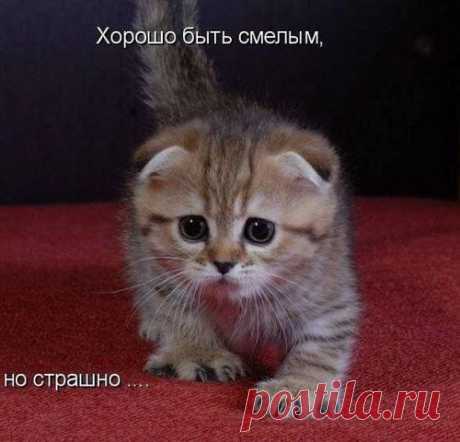 Интересные новости