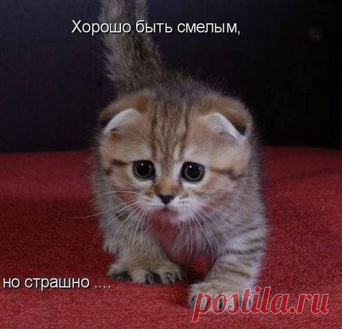 Интересные новости