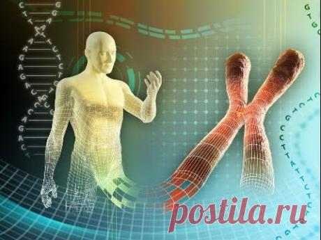 Научфильм Хромосомная теория наследственности