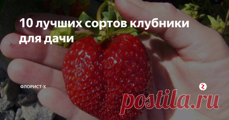 10 лучших сортов клубники для дачи Описание сортов клубники с фото
+ ВИДЕО 15 лучших сортов для дачи
