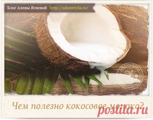 В чем польза кокосового молока для человека