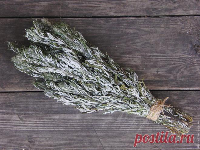 Лечение полынью очищает тело от всяких вредных организмов, находящихся в нем (это разного рода простейшие - трихомонады, хламиды, герпес, кандида, лямблии, эхинококковая инфекция)., излечивает бессоницу, нервные болезни и восстанавливает обмен веществ, в результате чего исчезает ожирение и лишний вес.