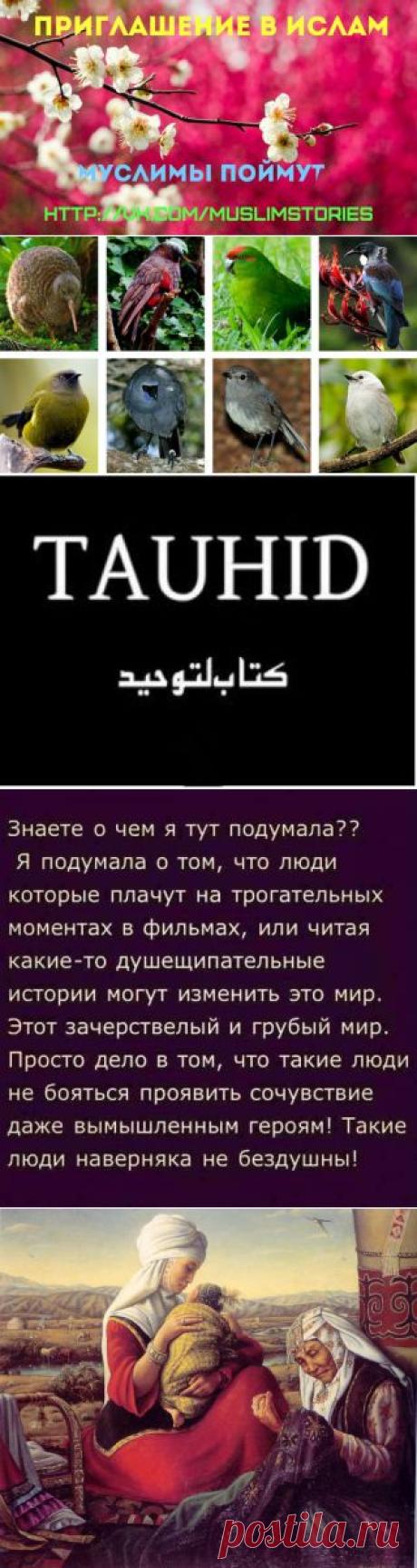 Алмат Нурназаров