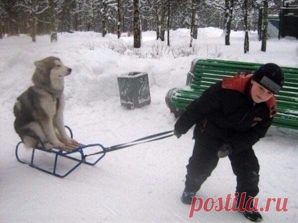 Справедливость восторжествовала)