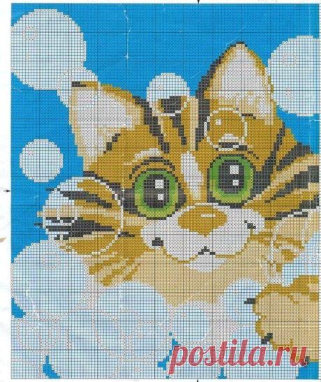 рыжий котик 1