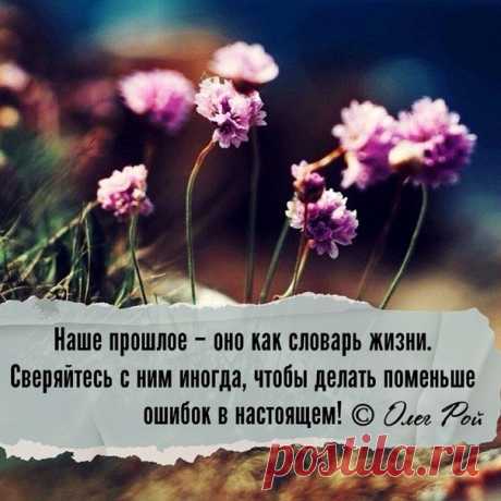 Люба Маркина
