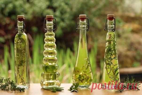 Эфирное масло орегано – полезные свойства и рецепты.