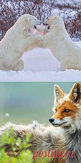 500px / Editor's Choice