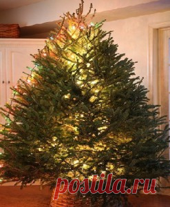 Маленькие новогодние хитрости | Новый год и Рождество! | Само Совершенство