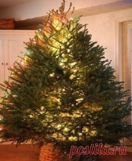 Маленькие новогодние хитрости | Новый год и Рождество! | Само Совершенство