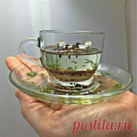 Pinterest