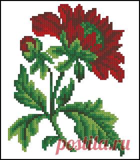 (6) Gallery.ru / Rosebuds_Berlin woolwork - Реконструкции старинных схем - tani211