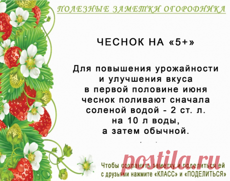 КОПИЛОЧКА ОГОРОДНИКА!
Сохраните и поделитесь с друзьями!
#✒ЗаметкиОгородника✒