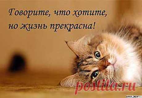 Быть счастливой