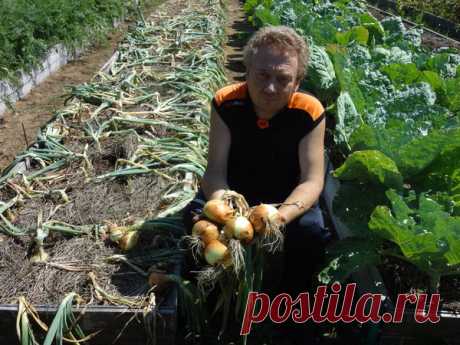 Урожайные грядки от Игоря Лядова. Запоминаем на будущий год