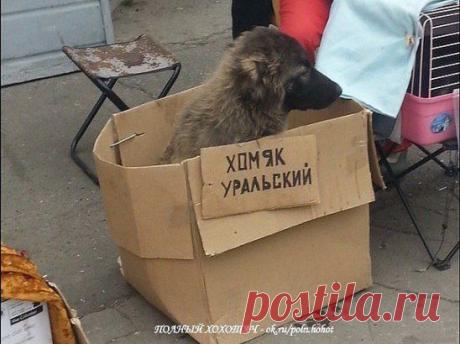 Спокойно, детка, это Урал!)