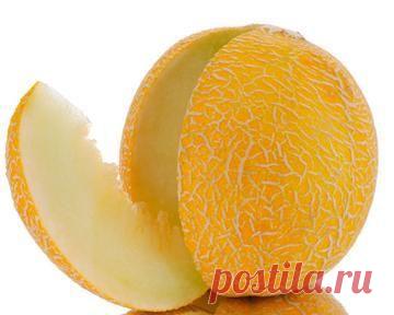 Целебные свойства дыни | Хозяева дома.