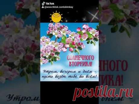 Позитивчик. ЧУДЕСНОГО ВТОРНИКА И СОЛНЫШКА В ДУШЕ! #чудесноговторника​