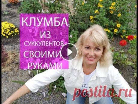 Самая лучшая клумба из суккулентов своими руками Самая лучшая клумба из суккулентов своими руками. В этом видео я покажу как сажать суккуленты. Также Вы увидите композицию из суккулентов. И, самое гл...