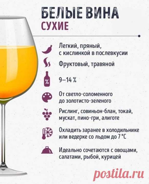 Учимся правильно разбираться в винах - baby4life.ru
