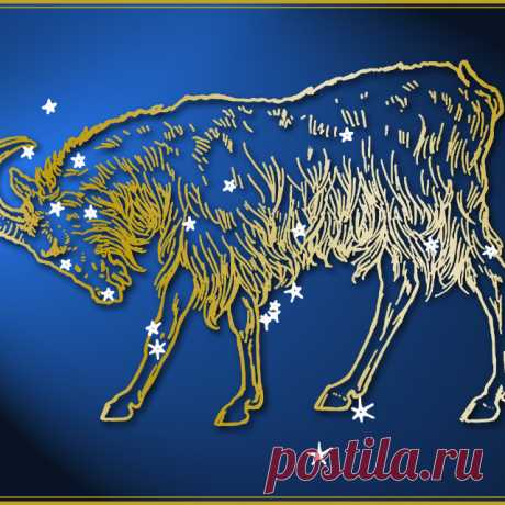 Что подарить Козерогу на Новый год