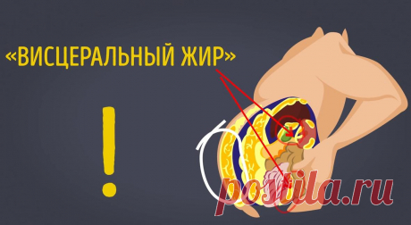 ТОП-5 упражнений от висцерального жира
Приветствую, ты на канале Wolf Fit! Как прошло ваше лето: блистали идеальной фигурой на пляже или бегали по больницам? Признавайтесь? Статья будет посвящена висцеральному жиру, который скапливается в подкожном слое. При это происходит сдавливание внутренних органов жиром и ухудшается их работа. Накопление висцерального жира провоцирует диабет, артериальную...
Читай дальше на сайте. Жми подробнее ➡