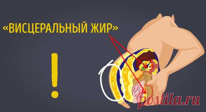 ТОП-5 упражнений от висцерального жира
Приветствую, ты на канале Wolf Fit! Как прошло ваше лето: блистали идеальной фигурой на пляже или бегали по больницам? Признавайтесь? Статья будет посвящена висцеральному жиру, который скапливается в подкожном слое. При это происходит сдавливание внутренних органов жиром и ухудшается их работа. Накопление висцерального жира провоцирует диабет, артериальную...
Читай дальше на сайте. Жми подробнее ➡