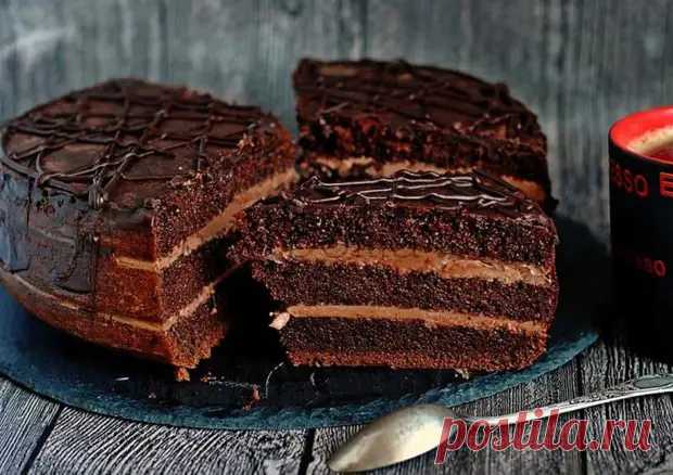 Торт Прага: вкусный шоколадный торт для праздников и будней - Скатерть-Самобранка - медиаплатформа МирТесен