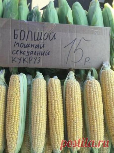 Топ натуральных антибиотиков, которые найдутся на каждой кухне