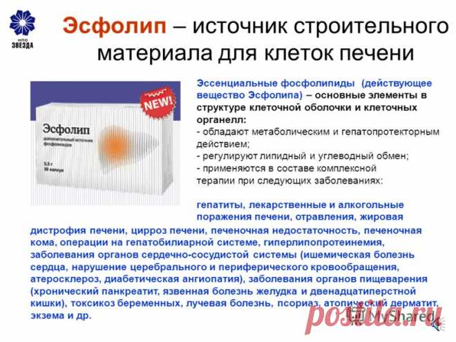 Эссенциальные фосфолипиды-вещества природного происхождения , основные элементы в структуре клеточной оболочки и клеточных органелл.
Обладают метаболическим и гепапротекторным действием ;
Регулируют липидный и углеводный обмен.
Применяются в составе комплексной терапии при следующих заболеваниях :
Гепатиты , лекарственные и алкогольные поражения печени , отравления ,
Жировая дистрофия печени , цирроз печени , печеночная недостаточность ,
Заболевания органов сердечно-сосудистой системы