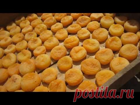СУХОФРУКТ  ИЗ  АБРИКОСА