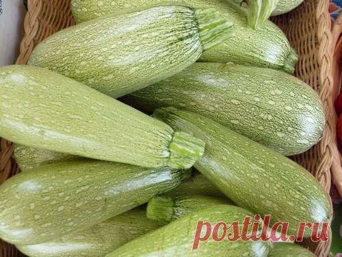 7 способов вкусно приготовить свежий кабачок Из кабачков можно приготовить большое количество блюд. Они имеют нейтральный вкус, подходят к любому столу. Все блюда из них получаются вкусными и полезными. Они бывают жареные, печеные, маринованные, с творогом и фаршем. Лучшие рецепты представлены ниже.