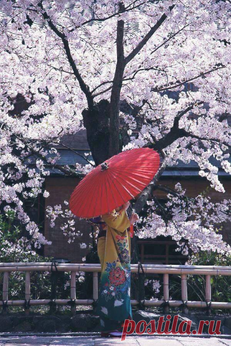 Sí, sono emotiva al cubo.... 
Sensibile ai dettagli...... 
Innamorata della Bellezza..... /                                                                        John France Henri поделился фото Mina Moon — с Harumi Mizukubo / Facebook