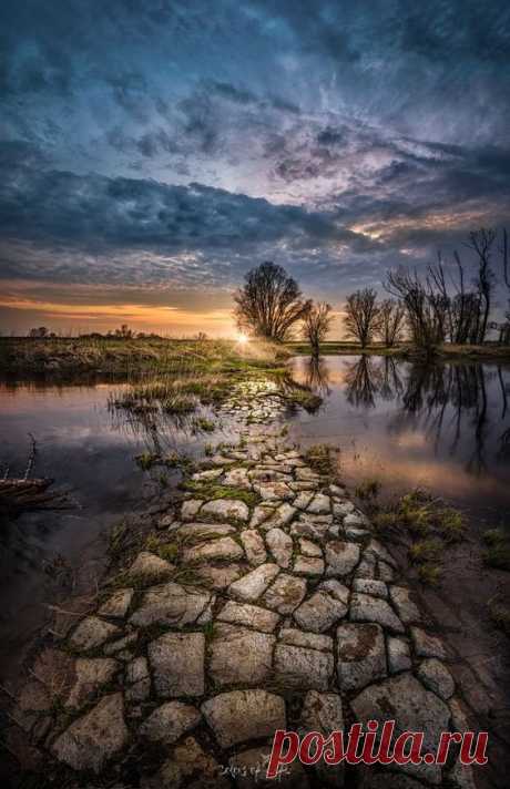 WELCOME — crescentmoon06: Towards the Sun by Michael J.