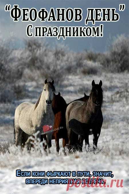Феофанов день !