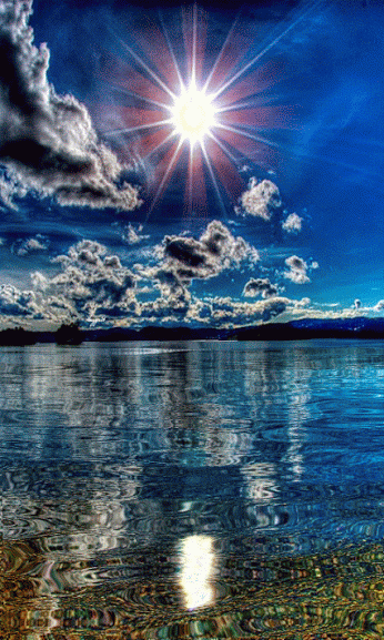 2014-11-17.gif (346×577)