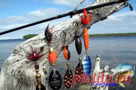 Вращающаяся блесна — выбор и тактика ловли Рыбалка в принципе является непростым процессом, в котором от рыбака требуется предельное внимание и определенный опыт. Все же снасти играют здесь важную роль. Например, когда рыбалкой занимается н…