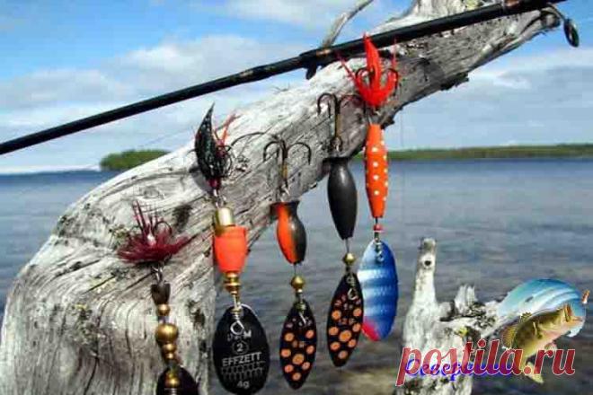 Вращающаяся блесна — выбор и тактика ловли Рыбалка в принципе является непростым процессом, в котором от рыбака требуется предельное внимание и определенный опыт. Все же снасти играют здесь важную роль. Например, когда рыбалкой занимается н…