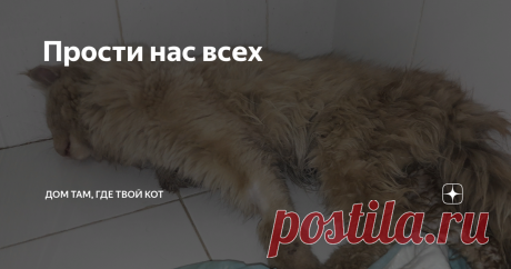 Прости нас всех Рено Логан буквально гнал по узкому двору, и сбил кота, вынырнувшего из-под стоящей машины. Водитель не уехал, нет. Он остановился, вышел, взял животное и отнёс его на обочину