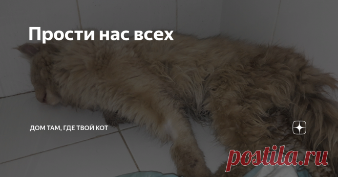Прости нас всех Рено Логан буквально гнал по узкому двору, и сбил кота, вынырнувшего из-под стоящей машины. Водитель не уехал, нет. Он остановился, вышел, взял животное и отнёс его на обочину