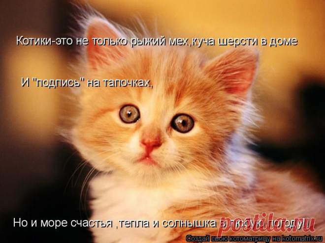 Татьяна — «802843.jpg» на Яндекс.Фотках