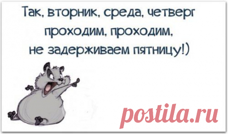 Анекдоты для настроения (10 шт)