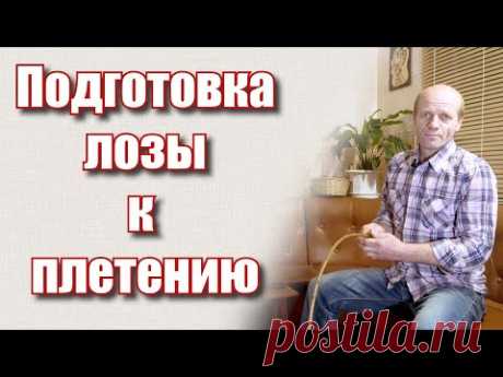 Подготовка лозы к плетению  #лозоплетение