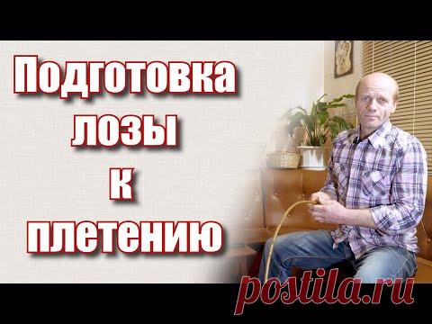 Подготовка лозы к плетению  #лозоплетение