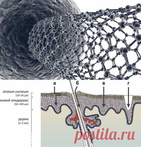 BIONIC NANO PATCH - Google Диск