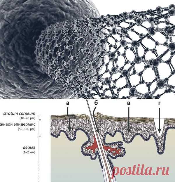 BIONIC NANO PATCH - Google Диск